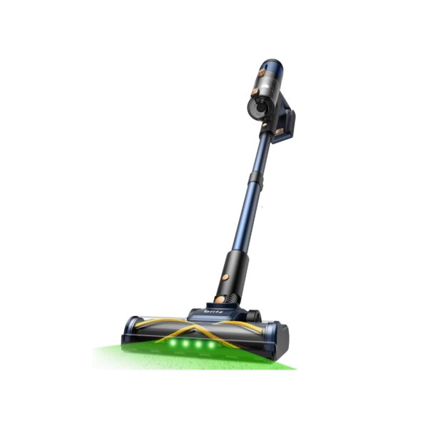 Aspirateur Balai Pour Tapis Poil Long