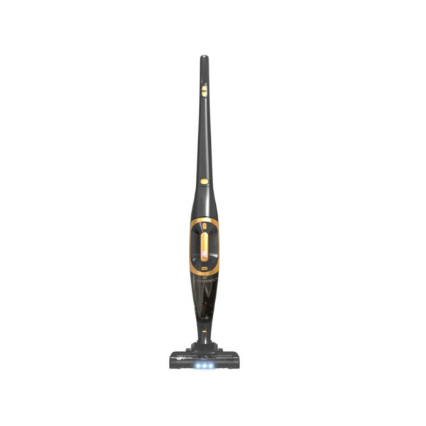 Aspirateur Laveur Sans Fil Poils Animaux