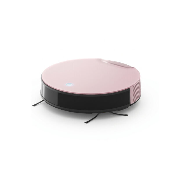 Aspirateur Poils Animaux