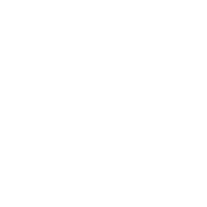 Nexaer Vacuum Téléphone Icone